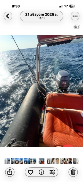 Извънбордов двигател Други RIP 470  | Auto.bg — изображение 2