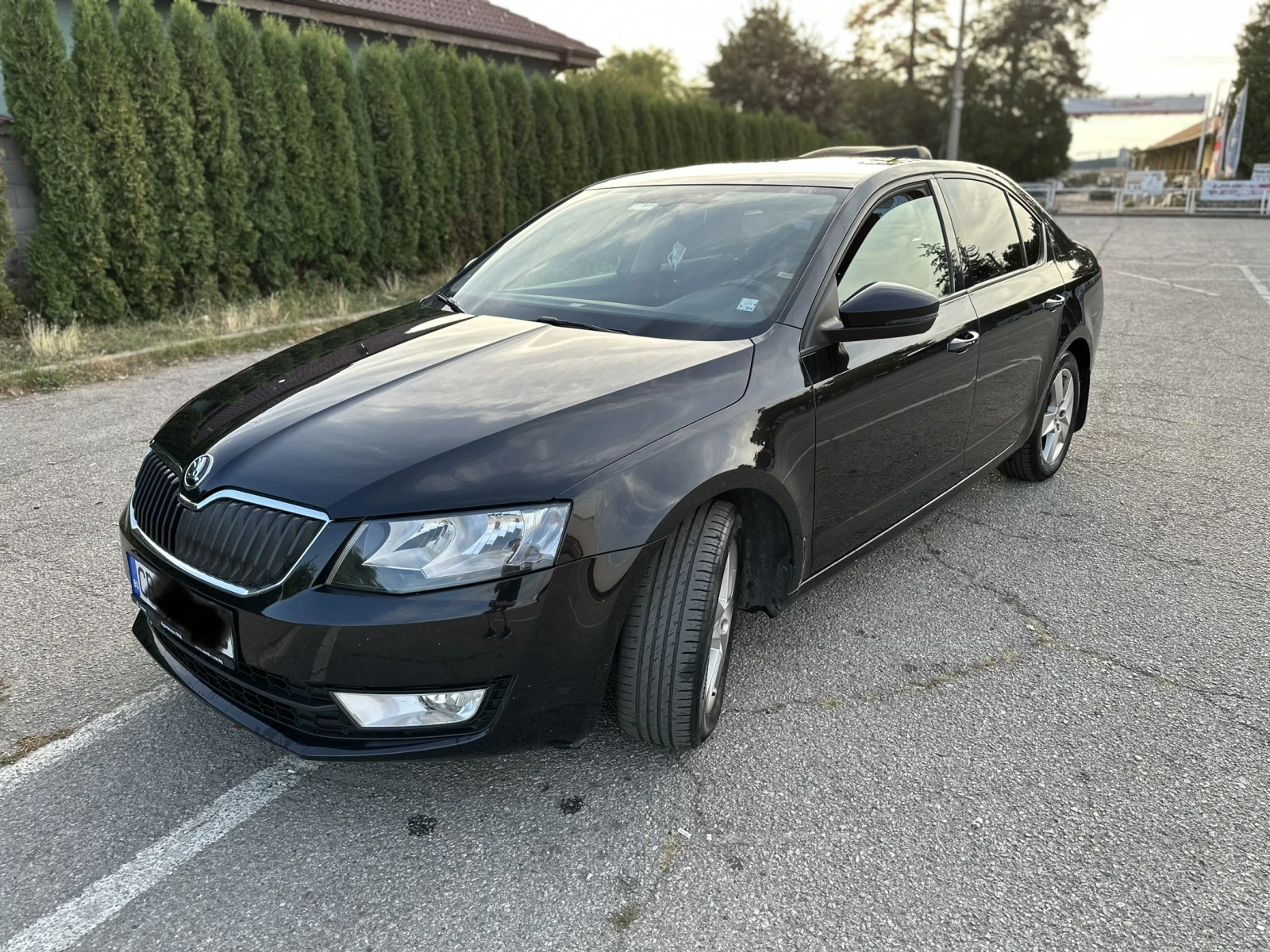 Skoda Octavia 1.6 TDI - изображение 2