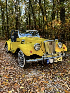 Ford Mustang SPARTAN SPORT, снимка 1