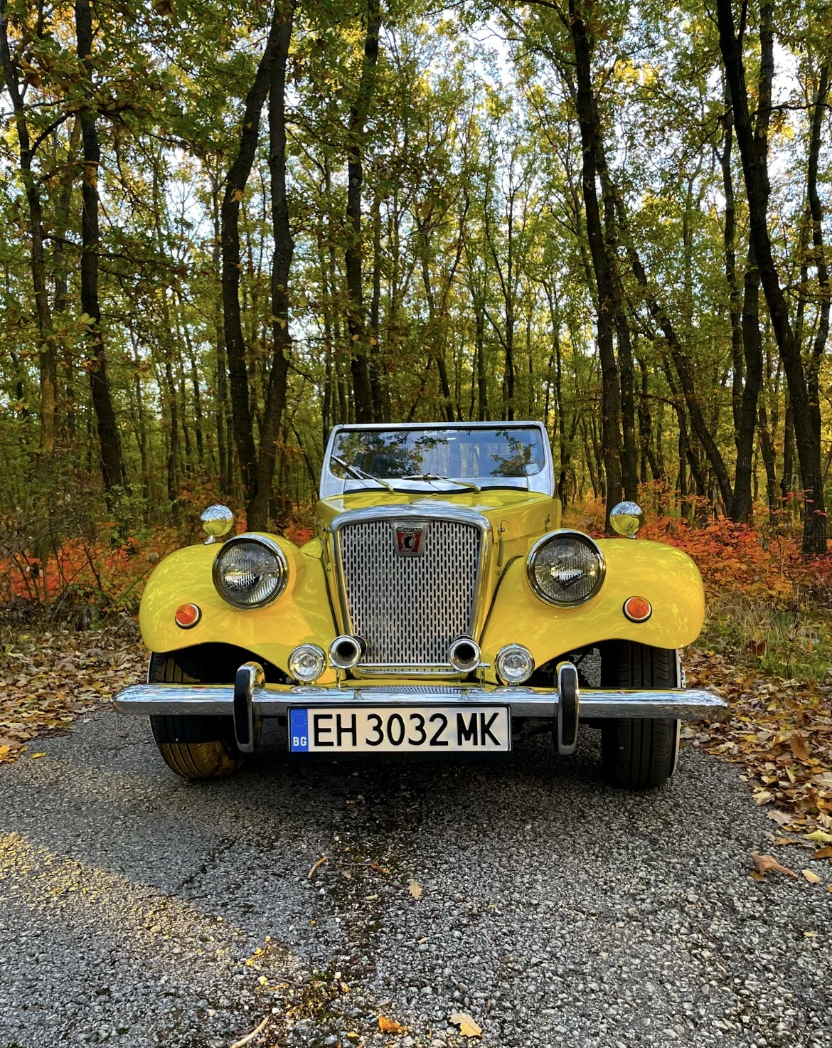 Ford Mustang SPARTAN SPORT, снимка 7 - Автомобили и джипове - 54318181