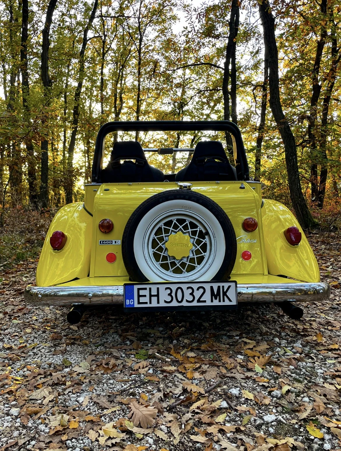 Ford Mustang SPARTAN SPORT, снимка 3 - Автомобили и джипове - 54318181