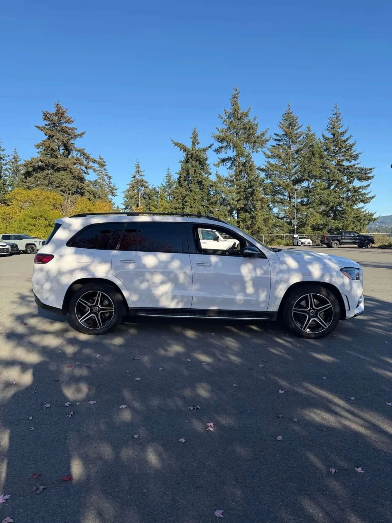 Mercedes-Benz GLS 450, снимка 3 - Автомобили и джипове - 56716738