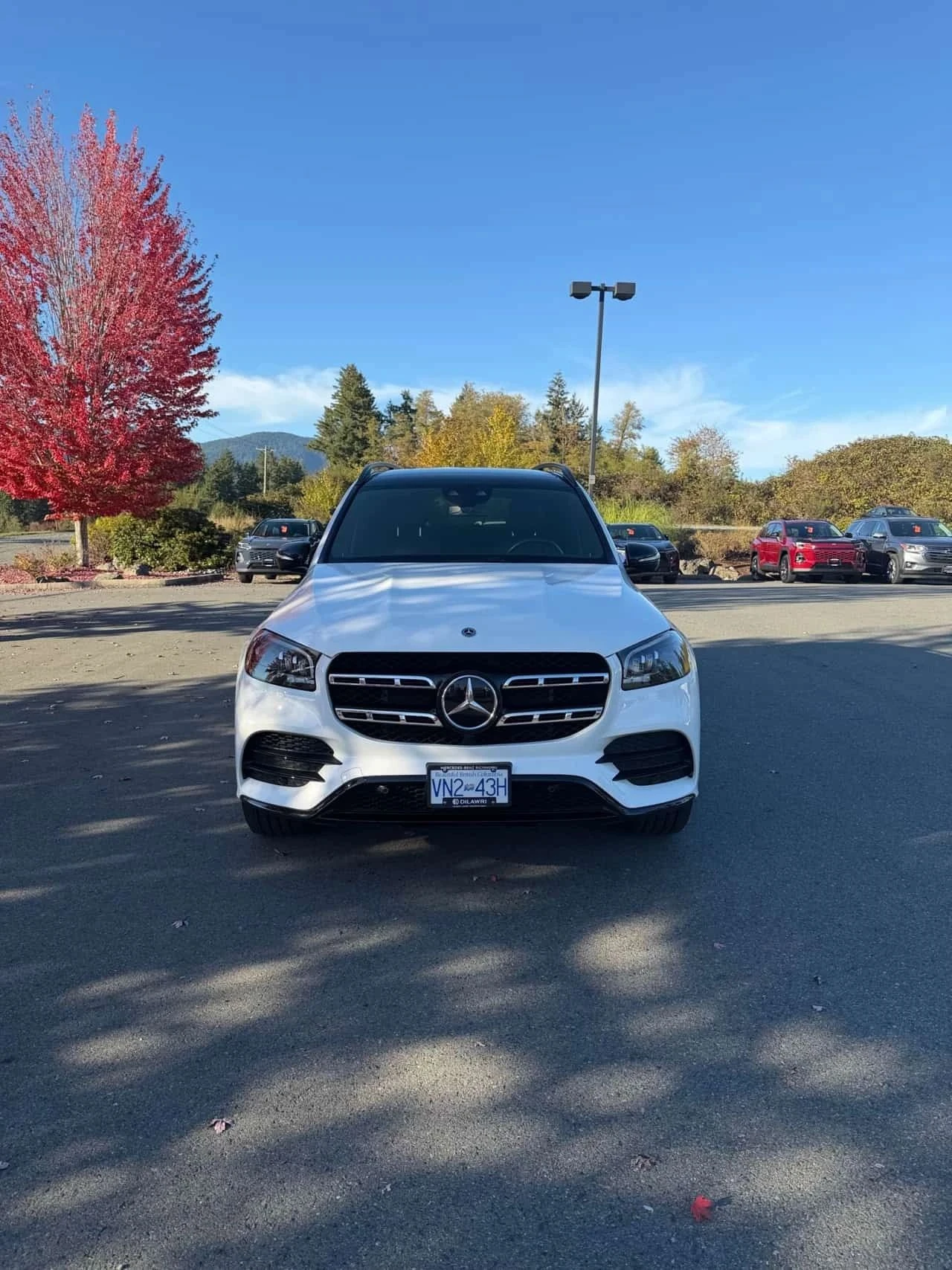 Mercedes-Benz GLS 450, снимка 6 - Автомобили и джипове - 56716738