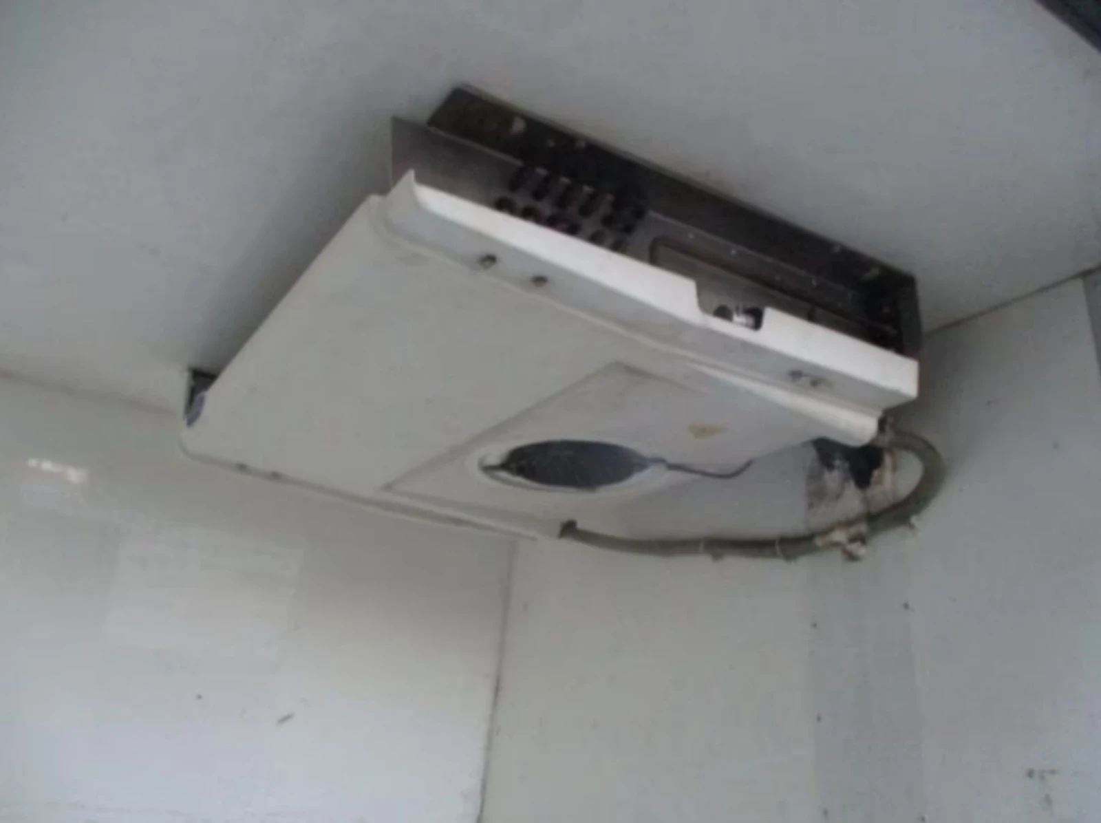 Iveco Daily Хладилен , снимка 10 - Бусове и автобуси - 53895389