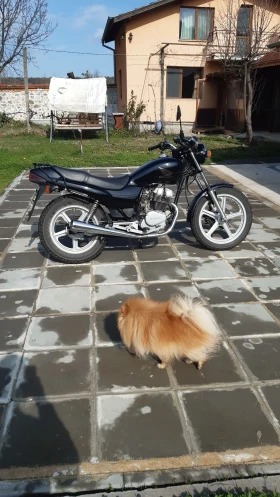 Обява за продажба на Honda Rebel ~3 400 лв. - изображение 1