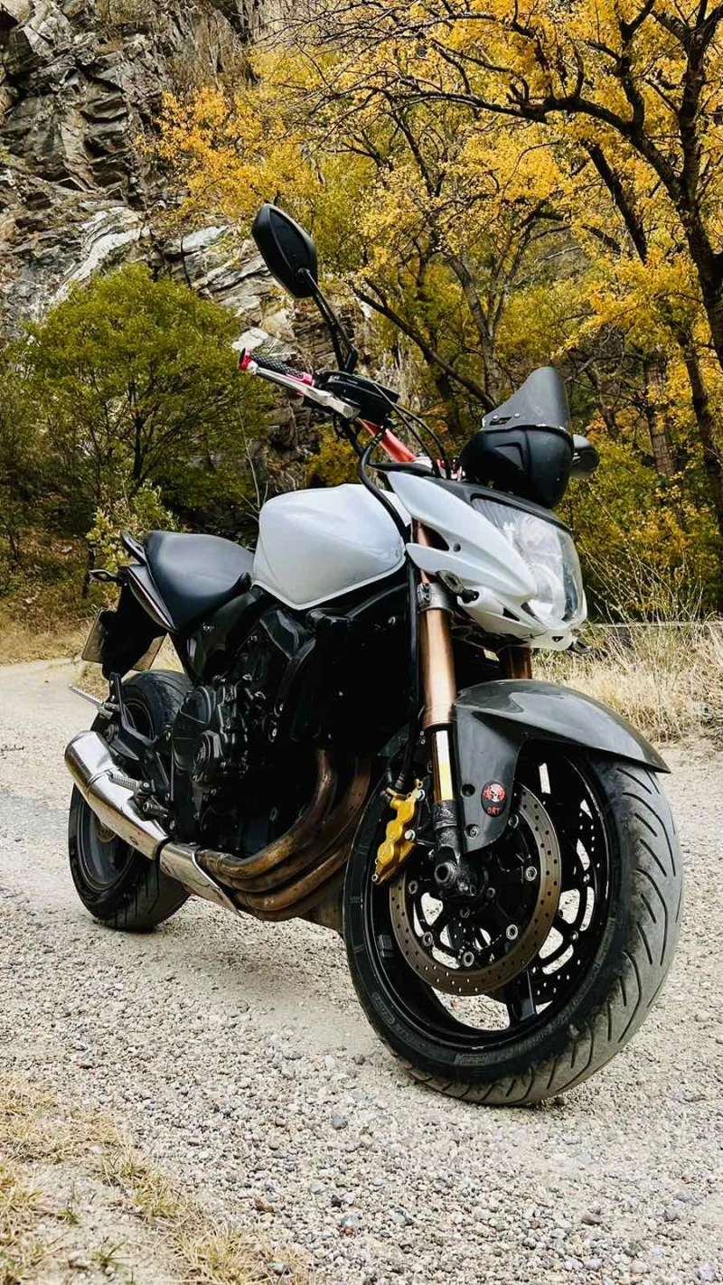 Honda Hornet 600cc, снимка 1 - Мотоциклети и мототехника - 47874790