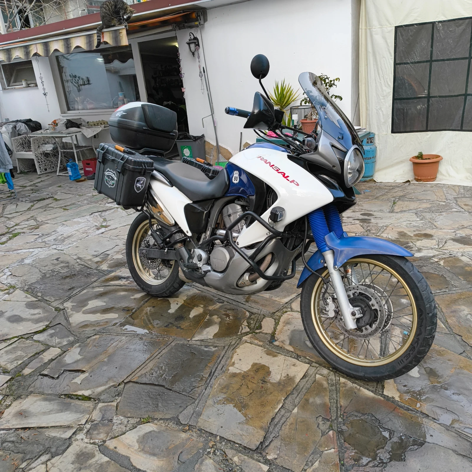 Honda Xlv  - изображение 7