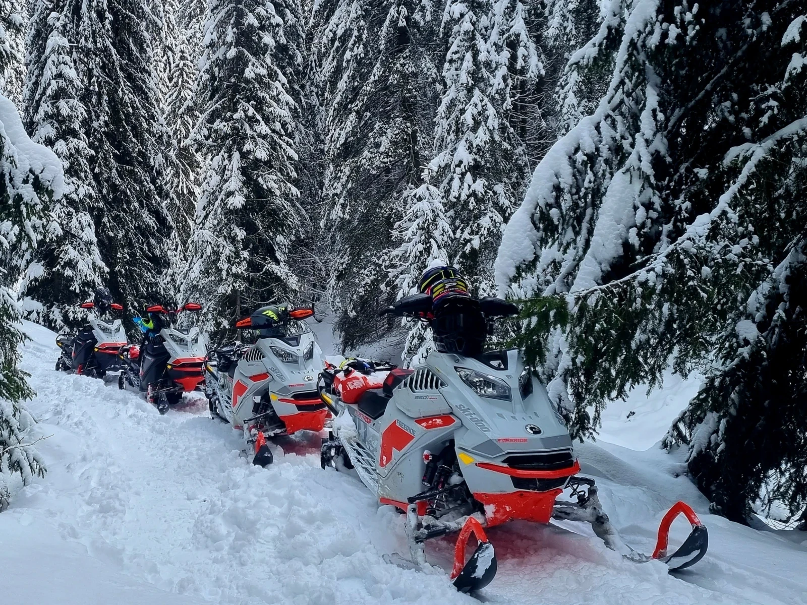 Ski-Doo Freeride TURBO 165, снимка 6 - Мотоциклети и мототехника - 56712907