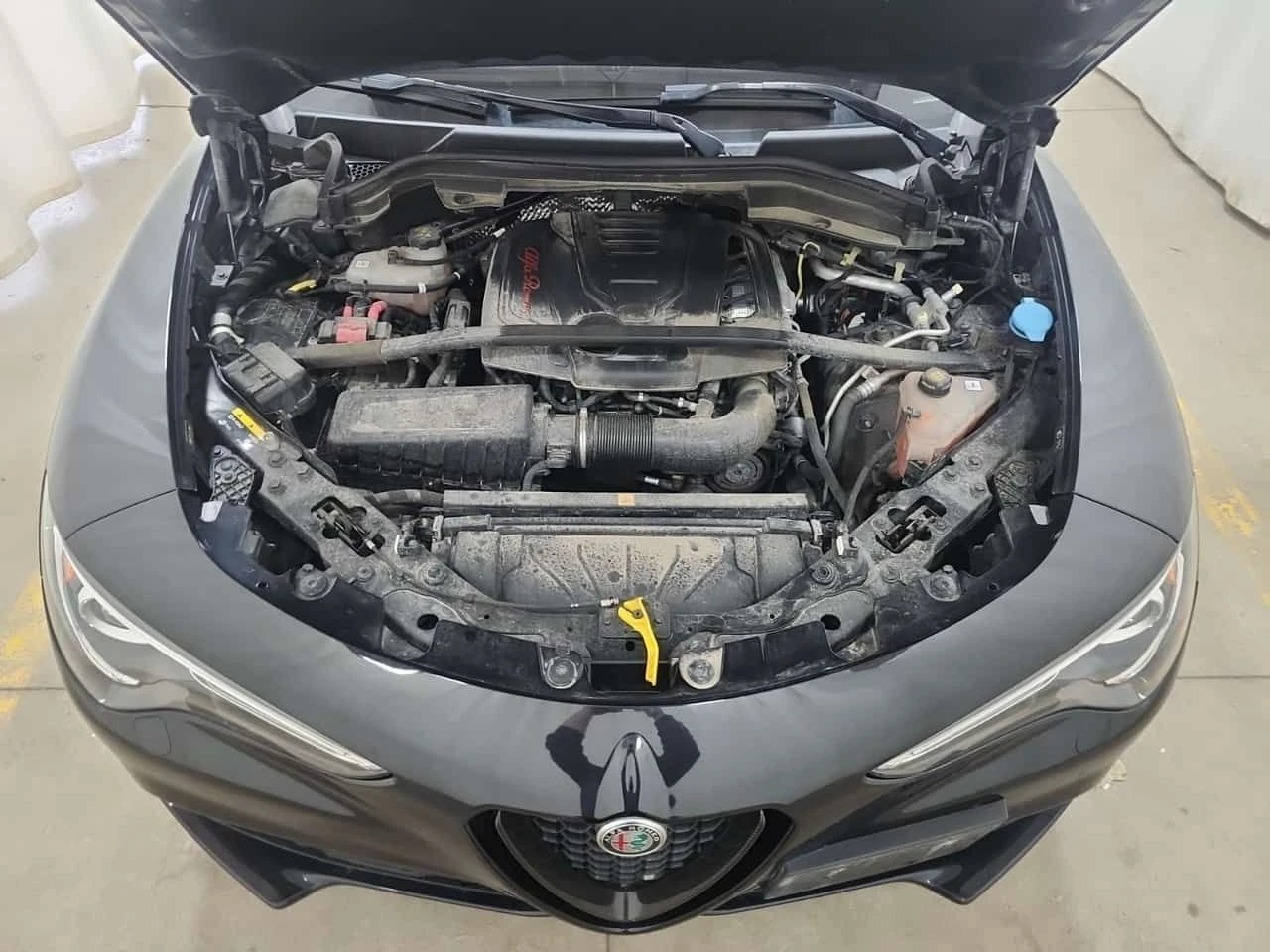 Alfa Romeo Stelvio * ESTREMA * CARFAX * ЦЕНА ДО БГ, снимка 16 - Автомобили и джипове - 54058966