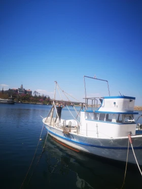  Albica   | Mobile.bg    3