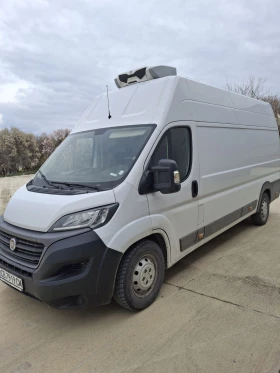 Fiat Ducato хладилен