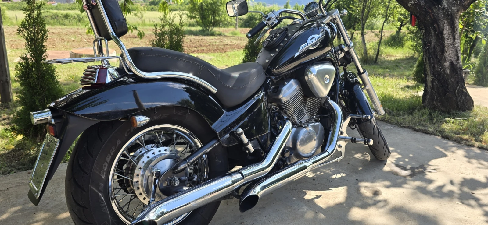 Honda Shadow  - изображение 5