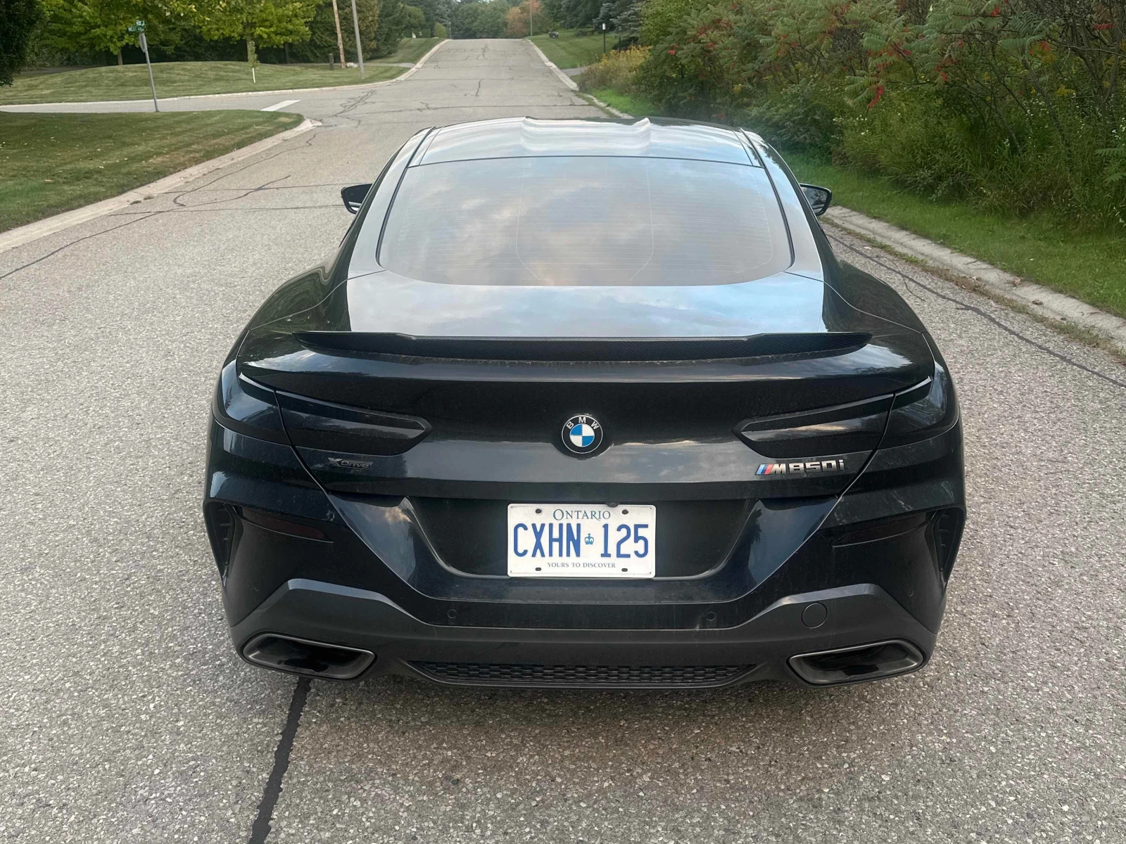 BMW 850 xDrive | CARFAX | БЕЗ ИНЦИДЕНТИ , снимка 5 - Автомобили и джипове - 56133426