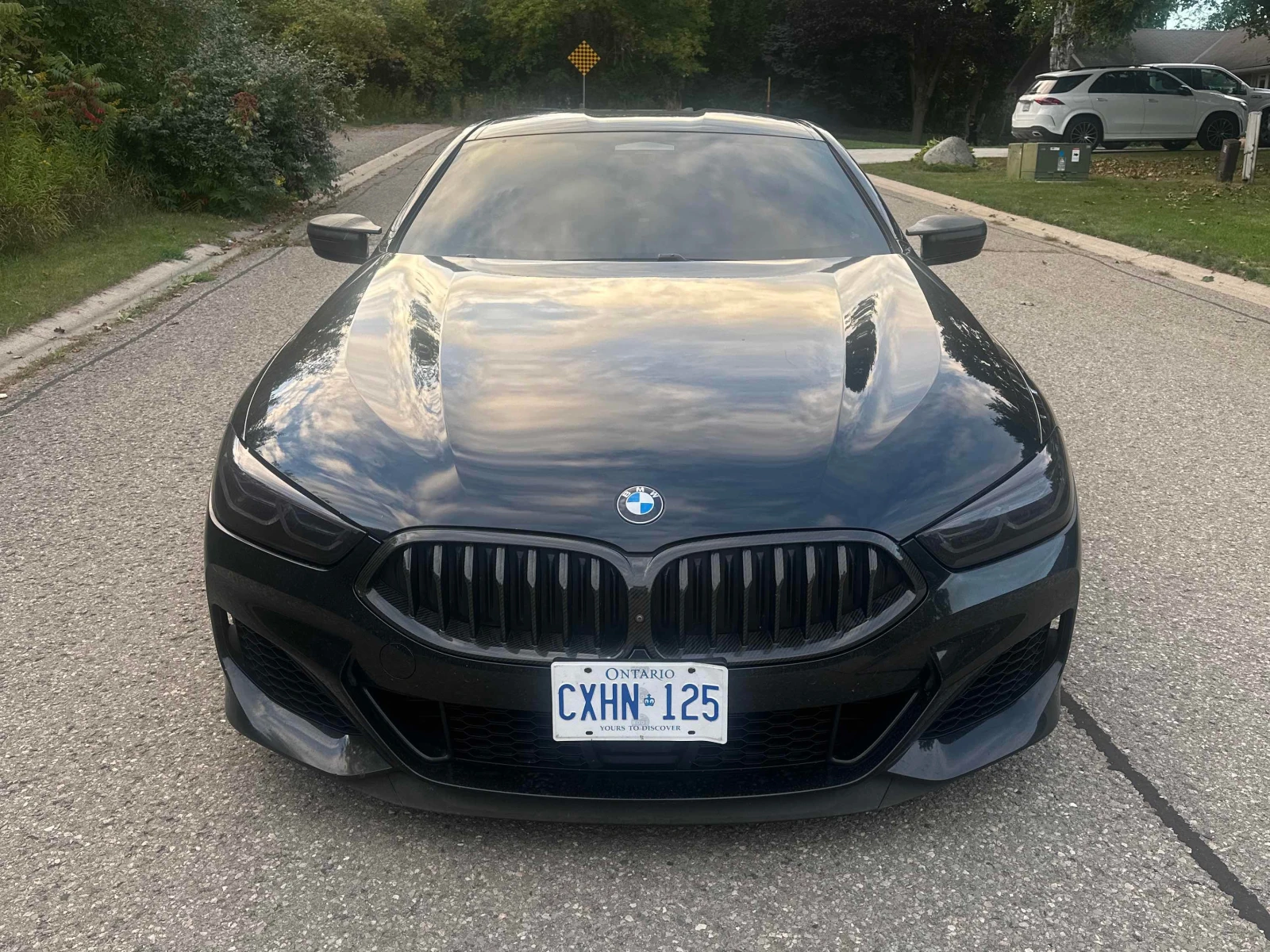 BMW 850 xDrive | CARFAX | БЕЗ ИНЦИДЕНТИ , снимка 2 - Автомобили и джипове - 56133426