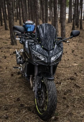 Yamaha FZ1 FAZER, снимка 7