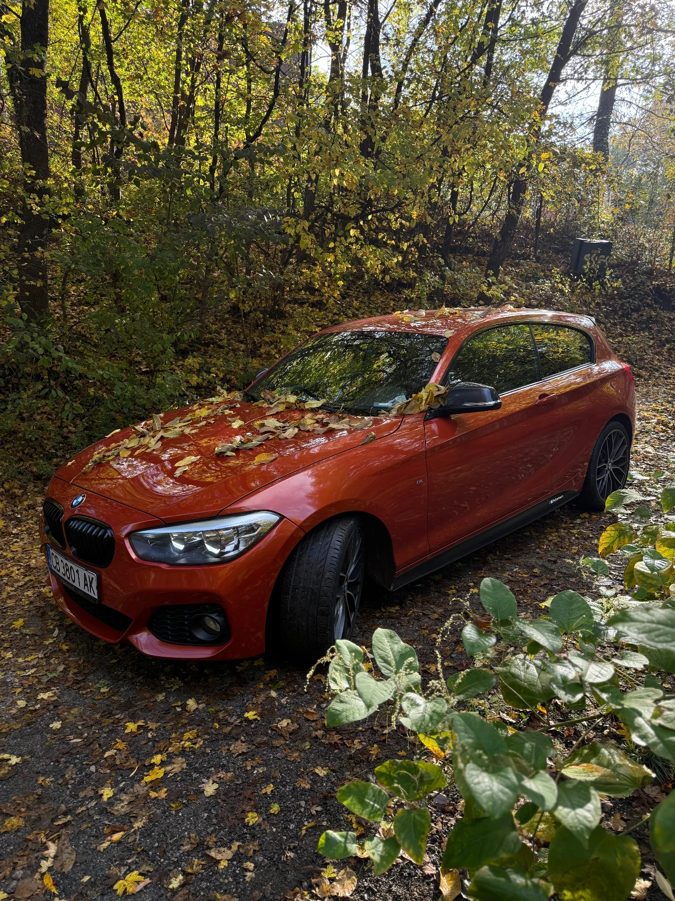 BMW 118 M Performance - изображение 3