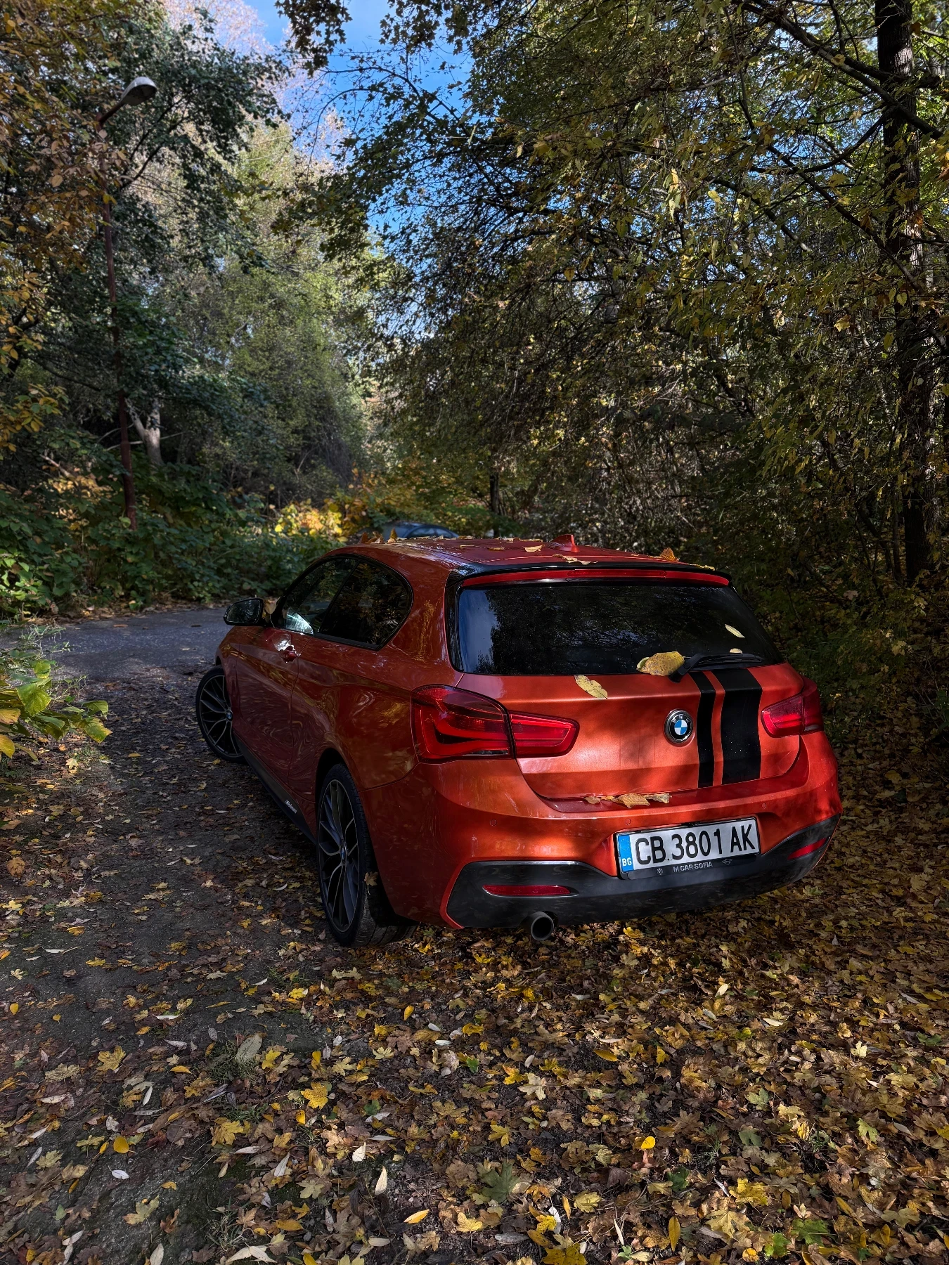 BMW 118 M Performance - изображение 2