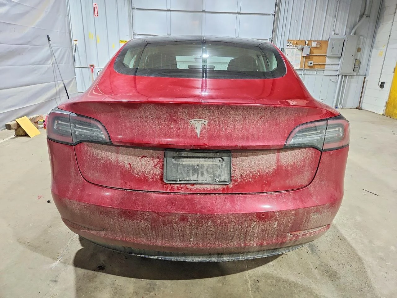 Tesla Model 3, снимка 6 - Автомобили и джипове - 54743855