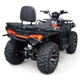 Поръчкови Други Raptor 300cc, снимка 4