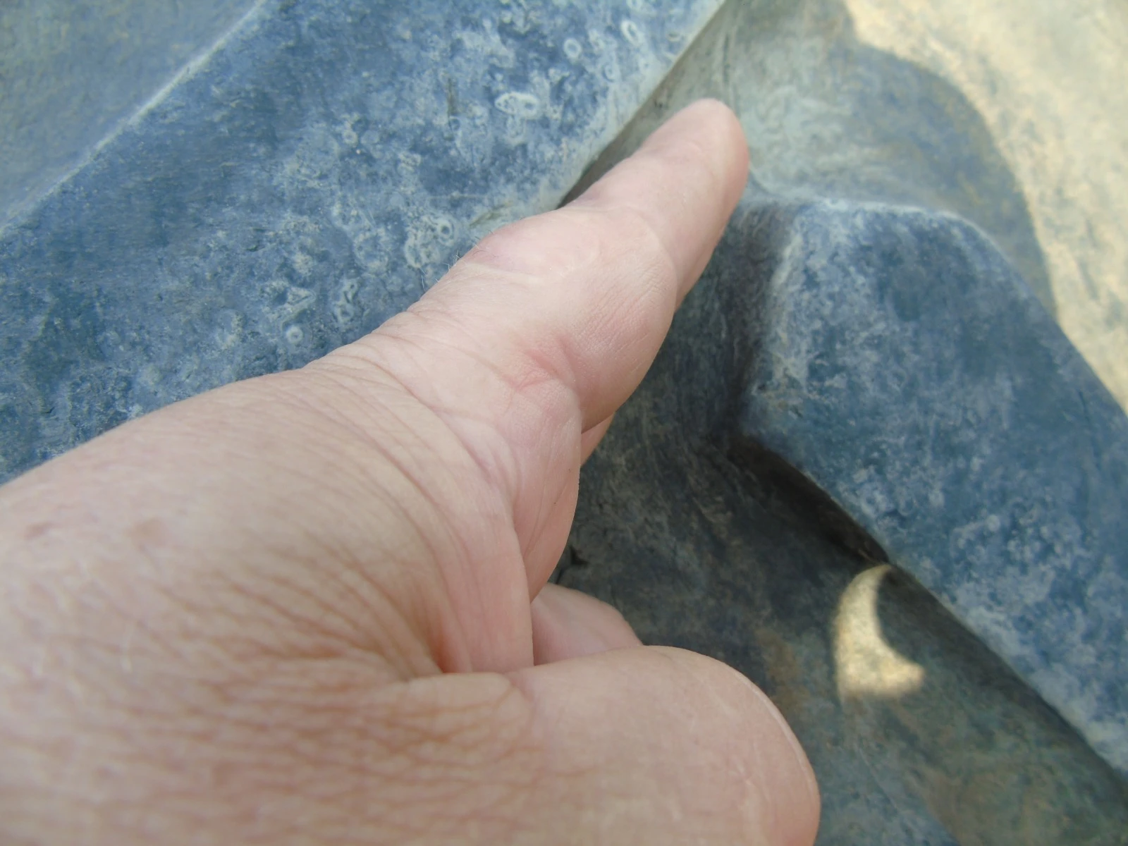 ���� | Mobile.bg � ����������� 13