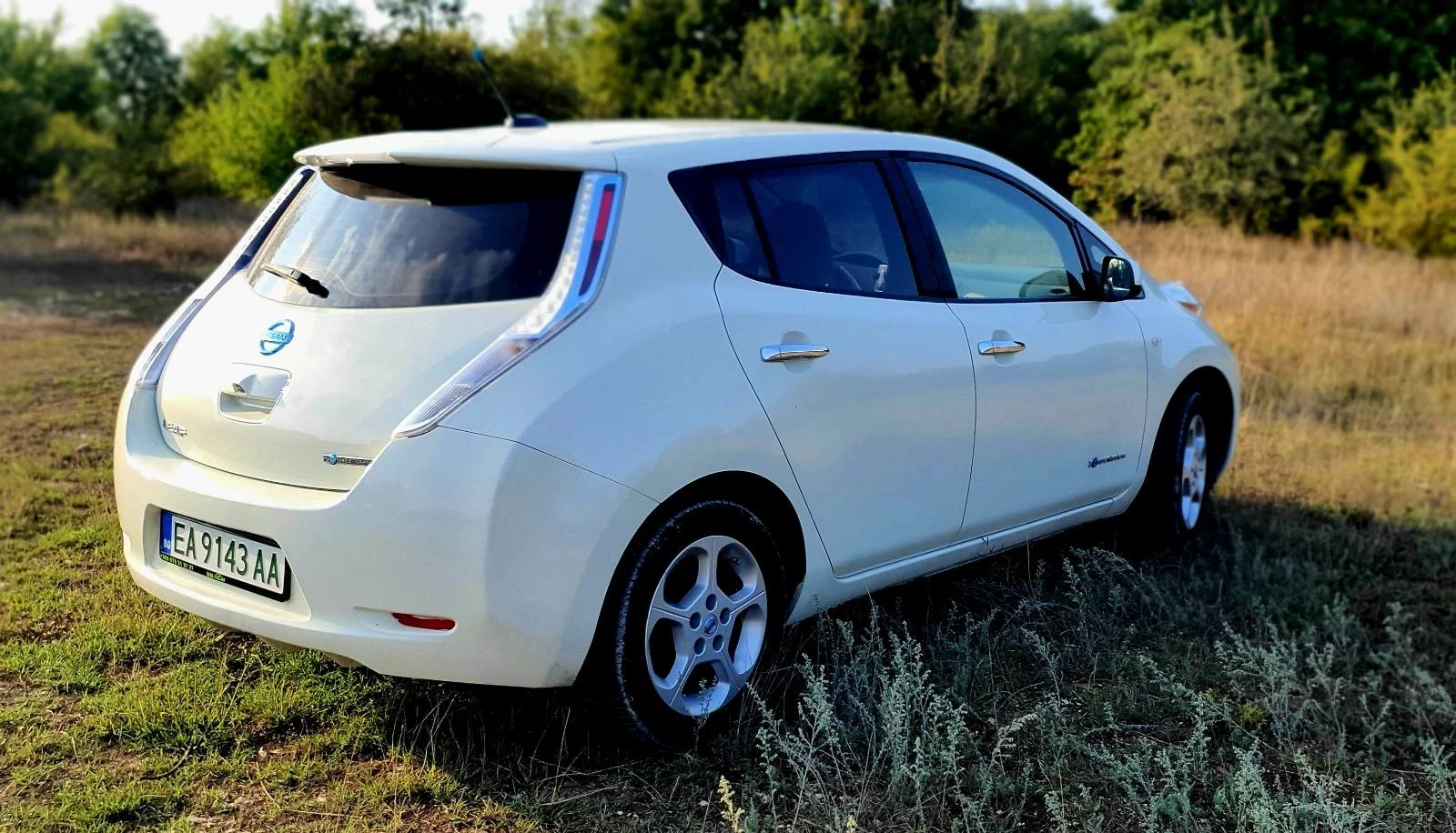 Nissan Leaf   - изображение 5