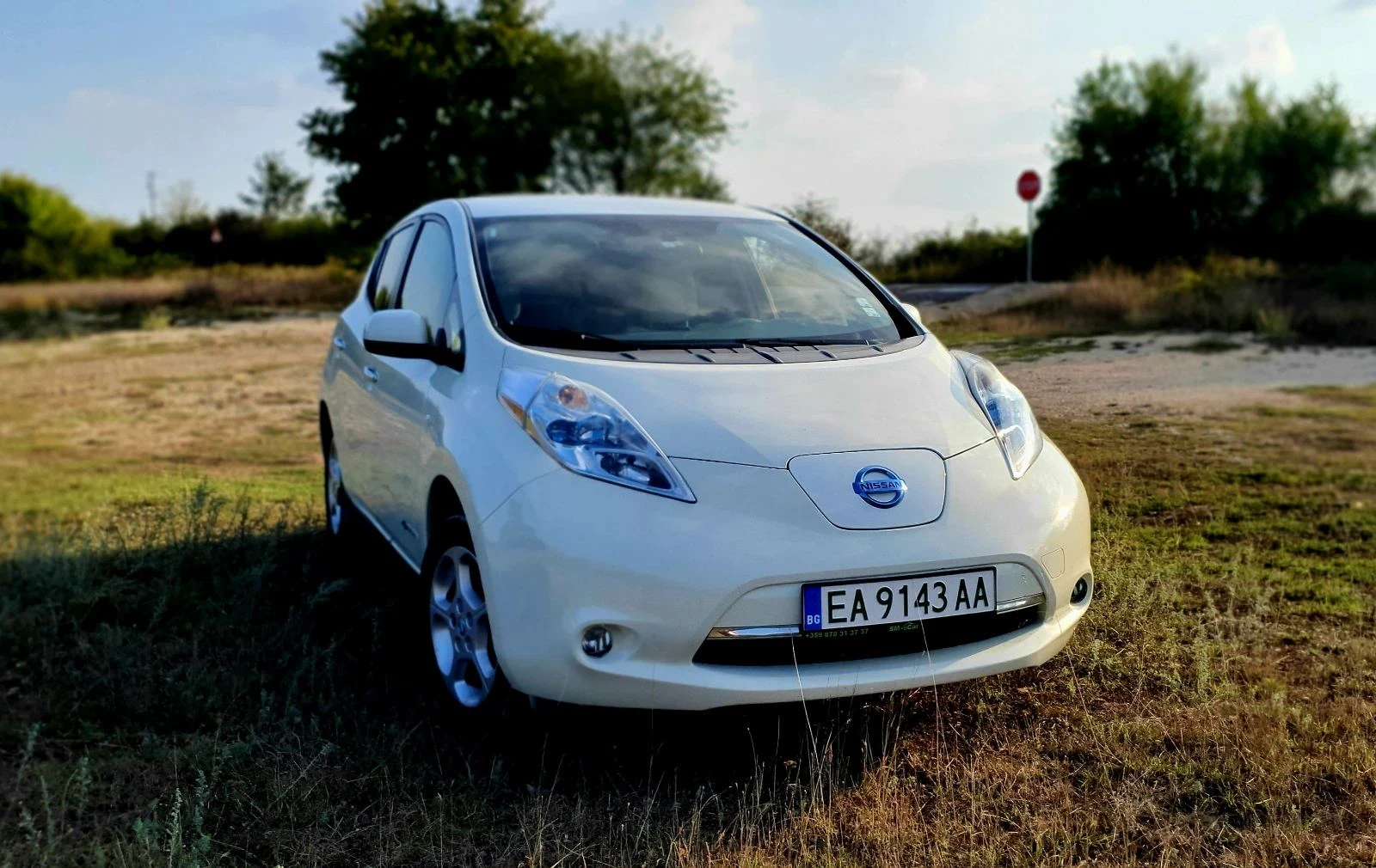 Nissan Leaf   - изображение 2