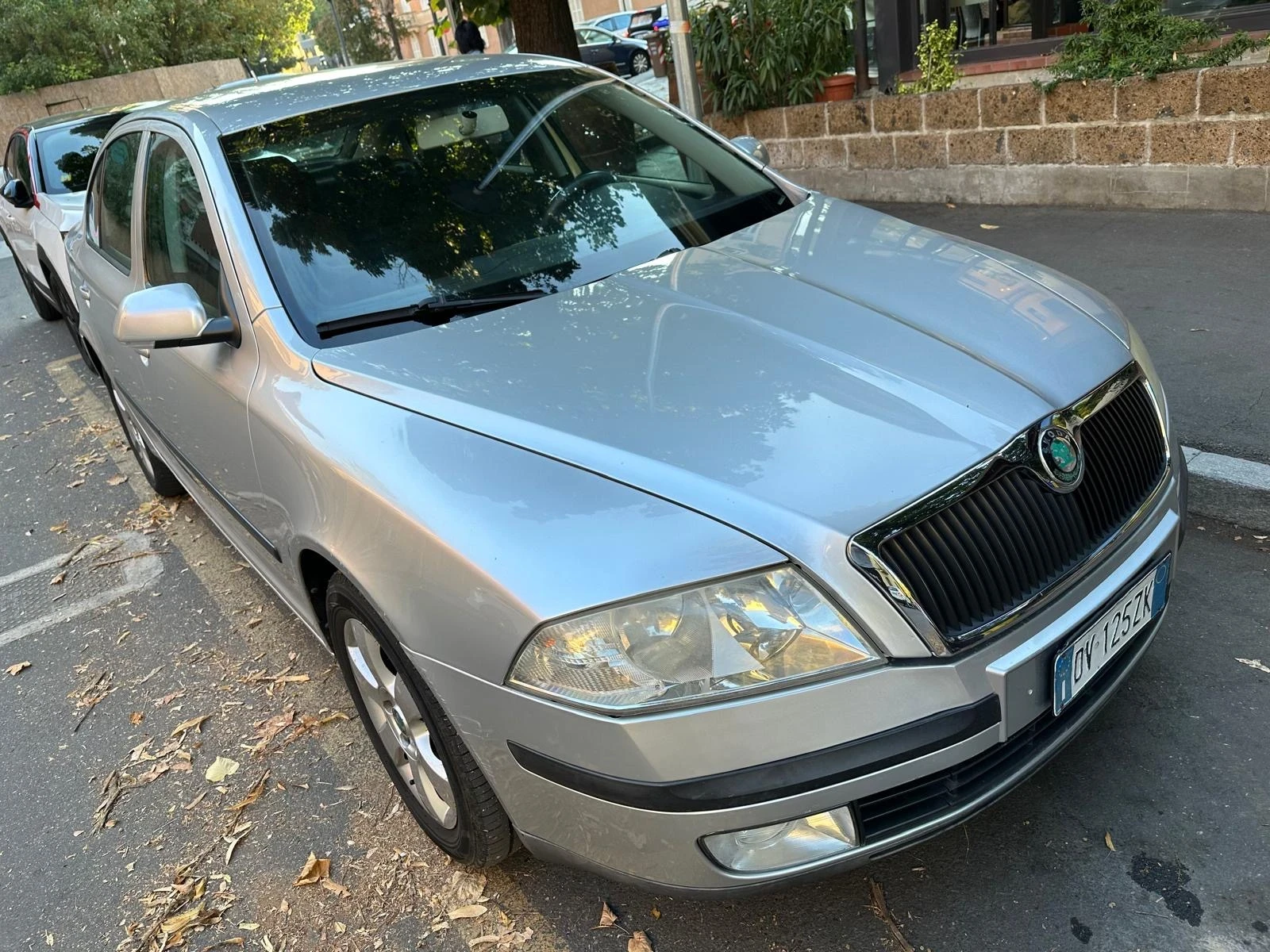 Skoda Octavia 1, 9 TDI - изображение 2