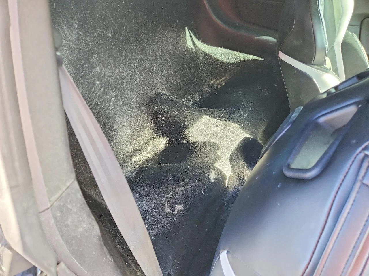 Ford Mustang 5.2l Shelby Gt500 - изображение 10