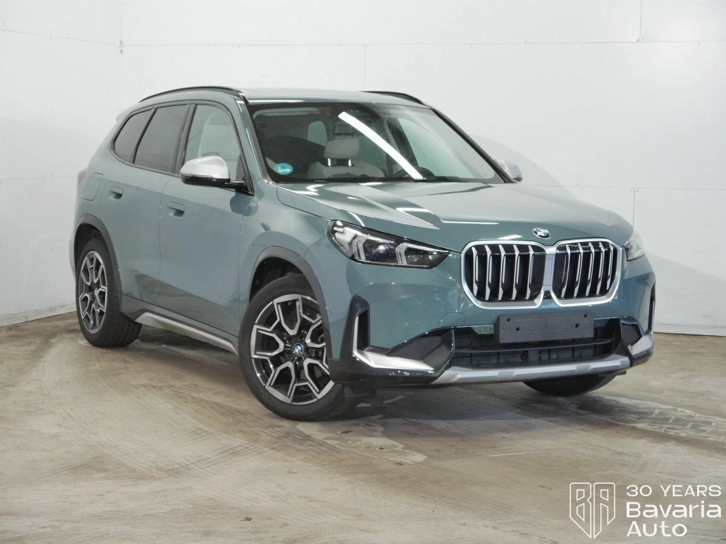 BMW X1 20d xDrive Steptronic - изображение 4