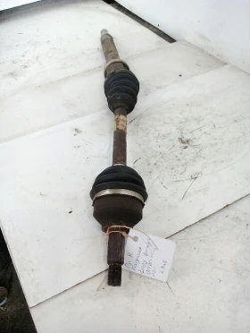 ������ ���������� �����