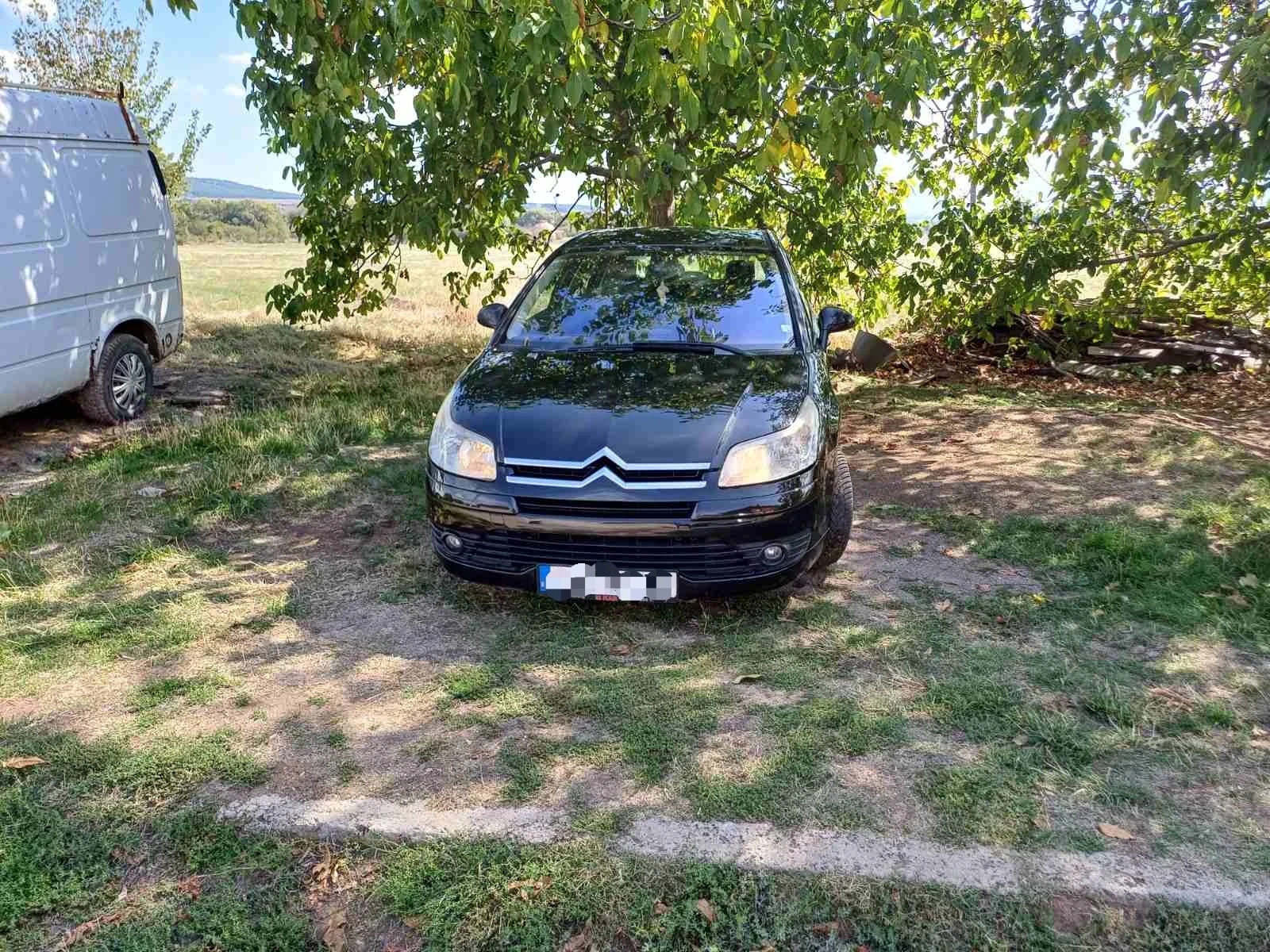 Citroen C4  - изображение 2