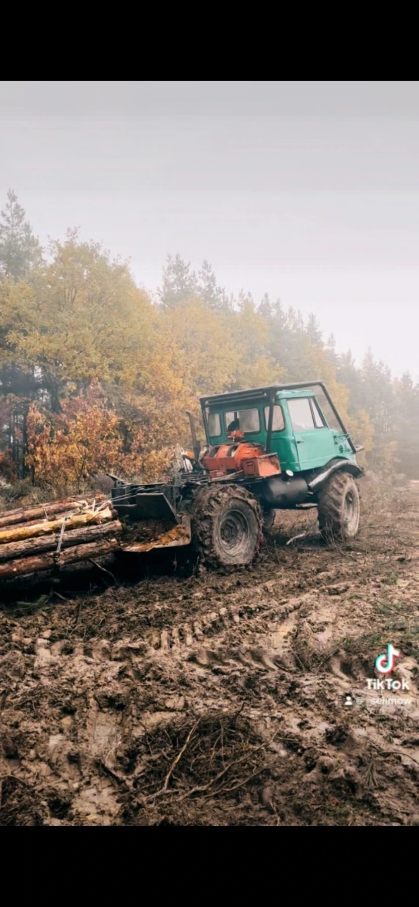 Mercedes-Benz UNIMOG, снимка 2 - Камиони - 54905975
