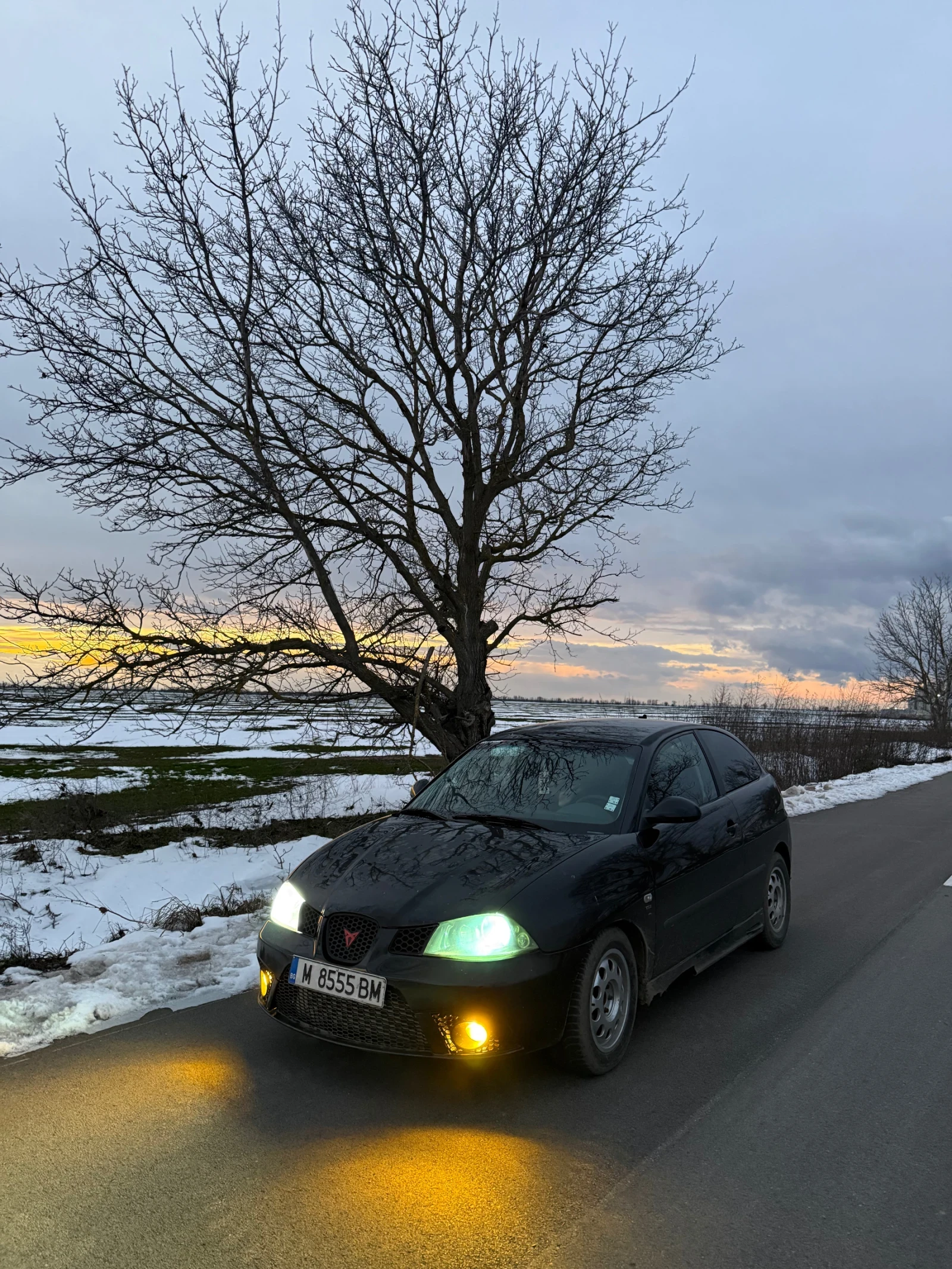 Seat Ibiza  - изображение 2