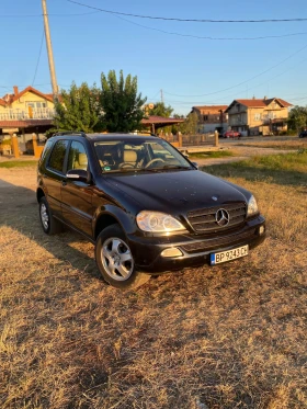 Mercedes-Benz ML 270 | Mobile.bg    2