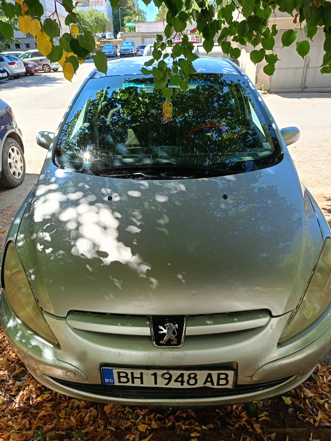 Peugeot 307