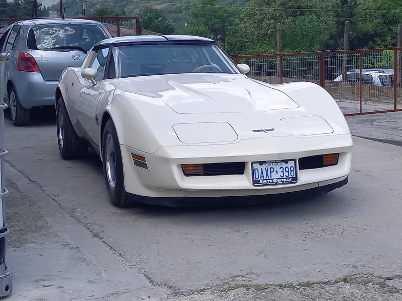 Chevrolet Corvette 5.7 C3 Targa, снимка 11 - Автомобили и джипове - 50951009