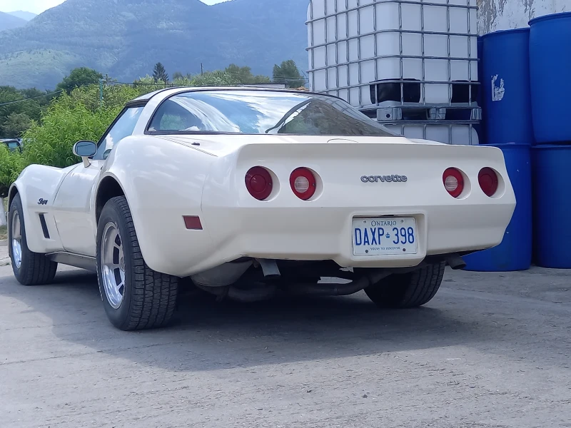 Chevrolet Corvette 5.7 C3 Targa, снимка 10 - Автомобили и джипове - 50951009