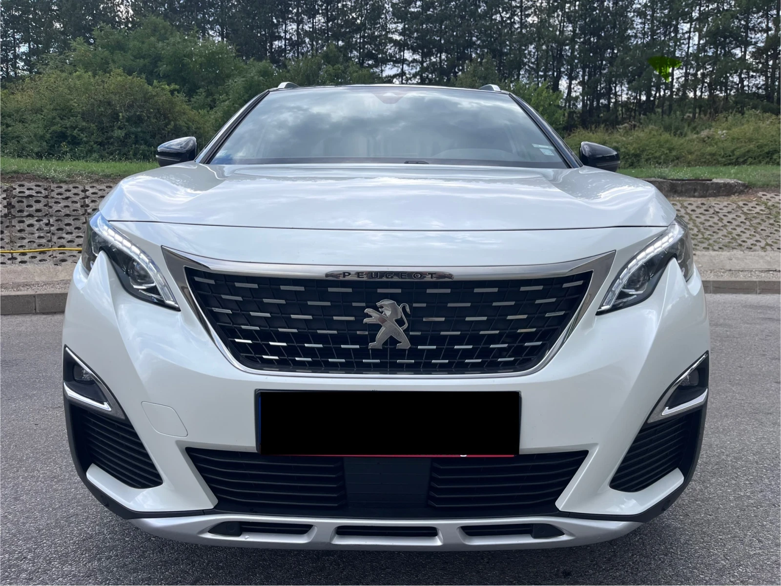 Peugeot 3008 2.0HDI GT-Line / Panorama, снимка 1