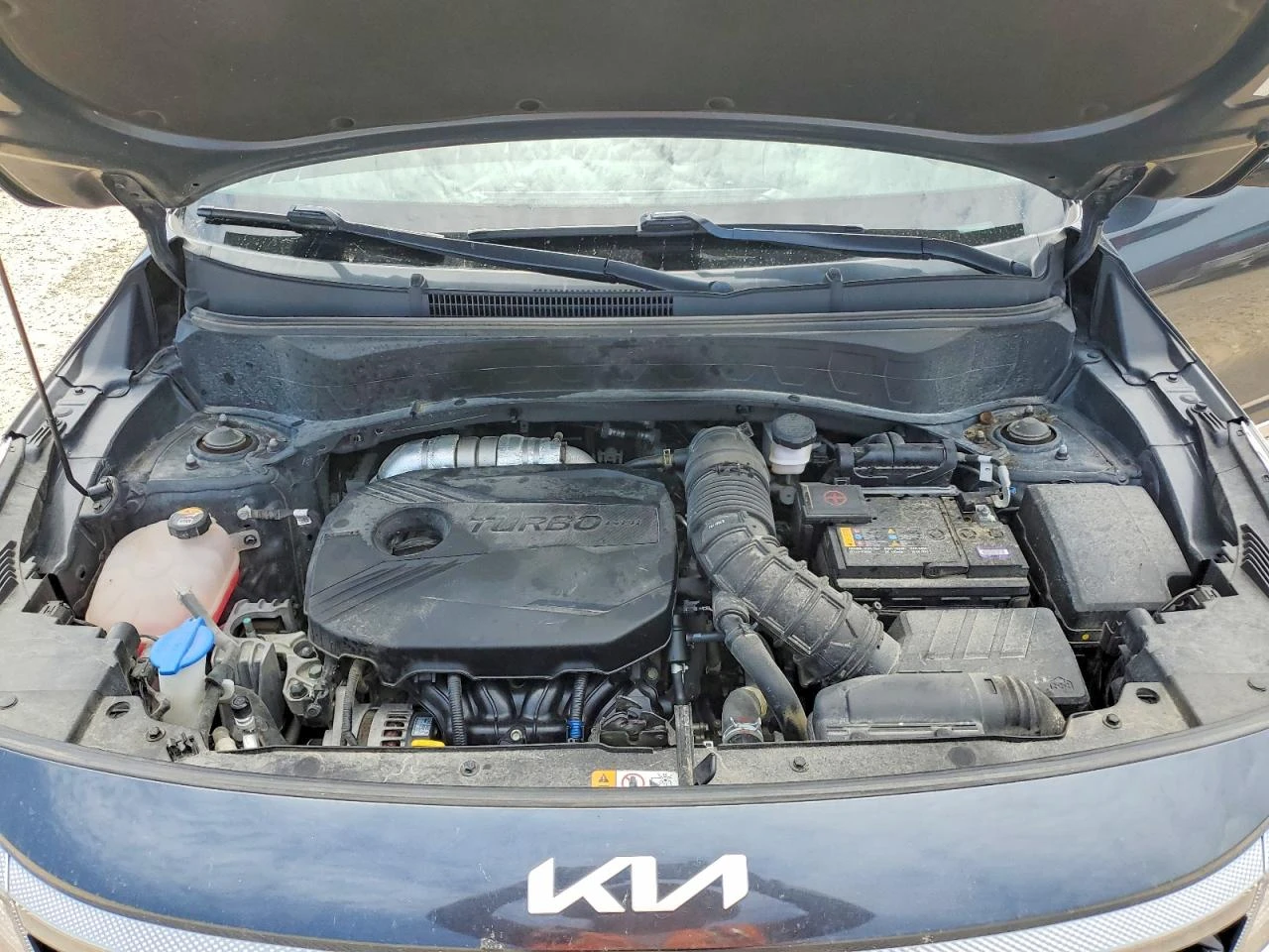 Kia Seltos 1.6l Nightfall | Mobile.bg � ����������� 12