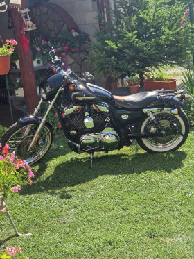 Harley-Davidson Sportster XL 1200 C Custom, снимка 5