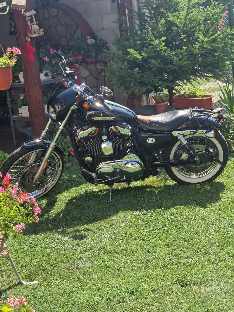 Harley-Davidson Sportster XL 1200 C Custom, снимка 5 - Мотоциклети и мототехника - 46419964