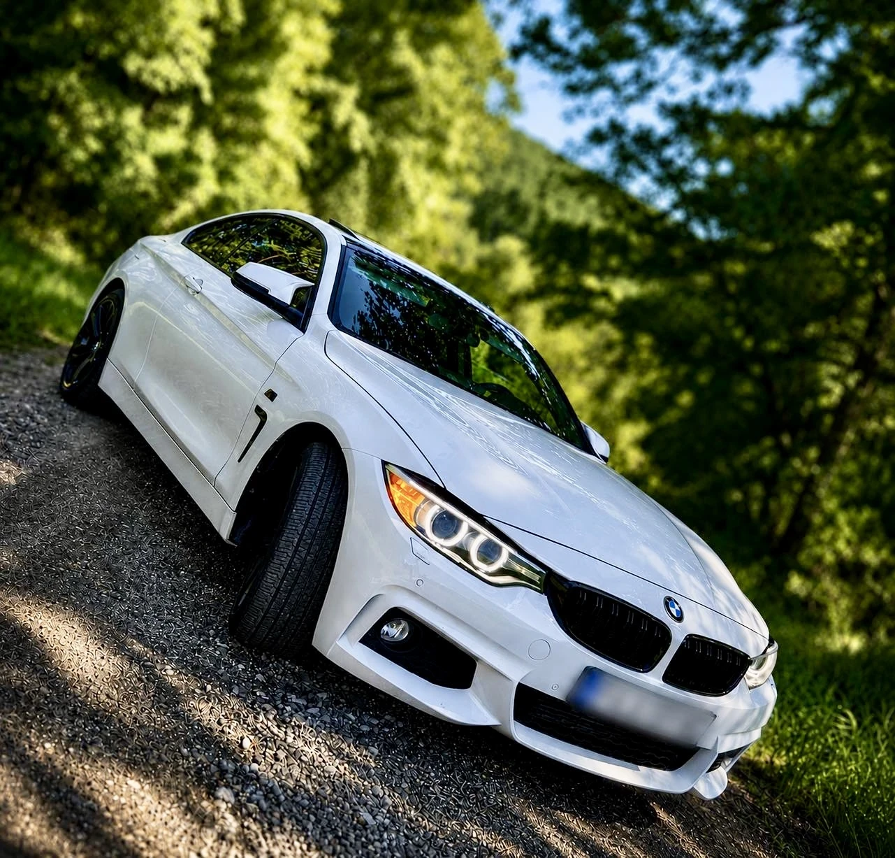 BMW 420, снимка 3 - Автомобили и джипове - 54753532