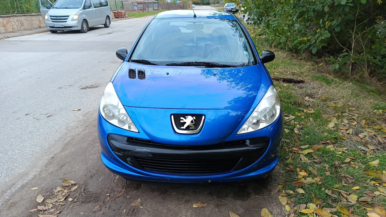 Peugeot 206, снимка 1