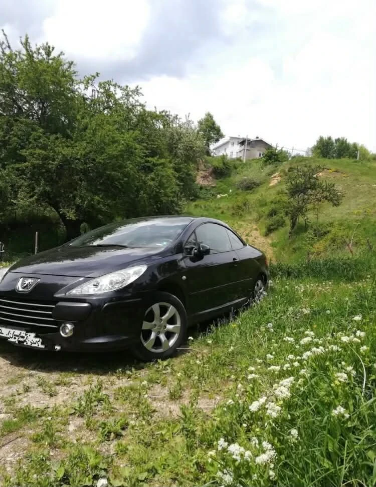 Peugeot 307 Facelift