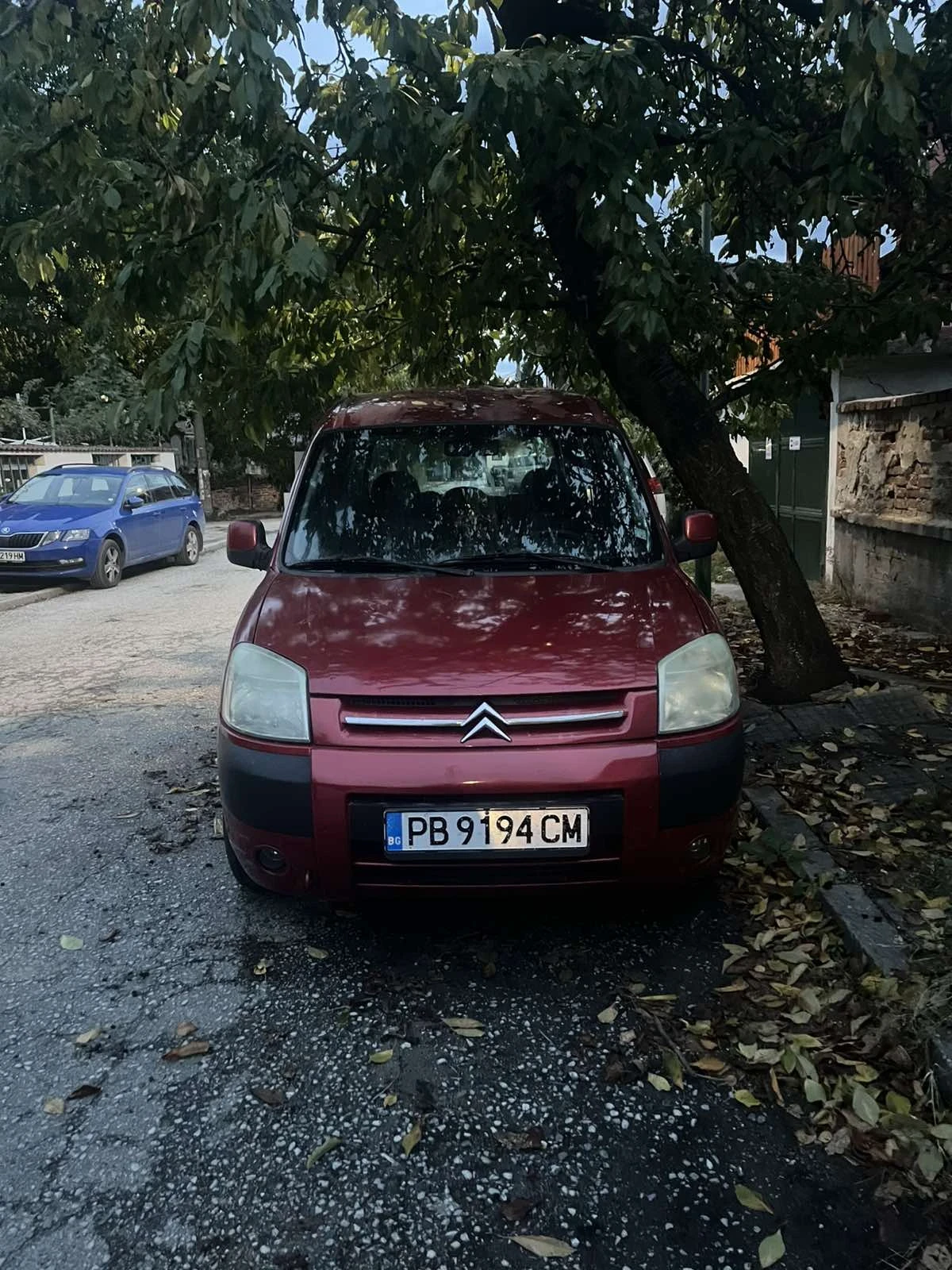 Citroen Berlingo 2.0 HDi, дизел