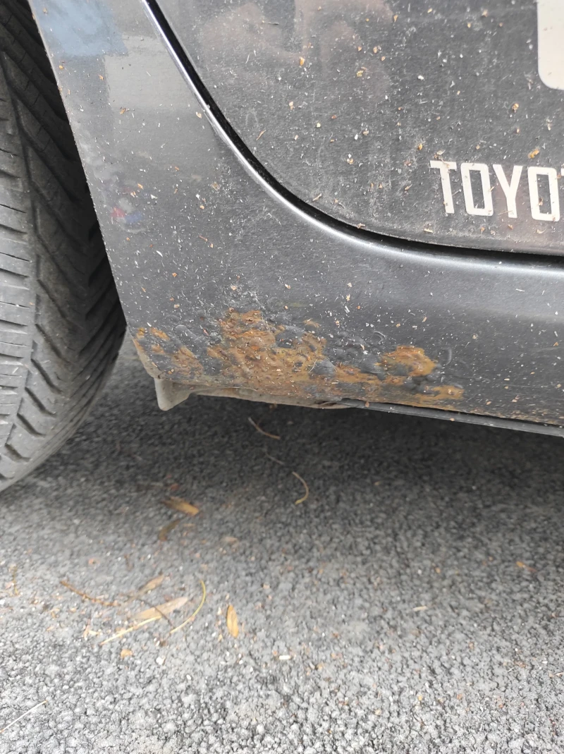 Toyota Auris Toyota Auris 1.6 vvti 124hp 2007 automatic , снимка 17 - Автомобили и джипове - 53433050