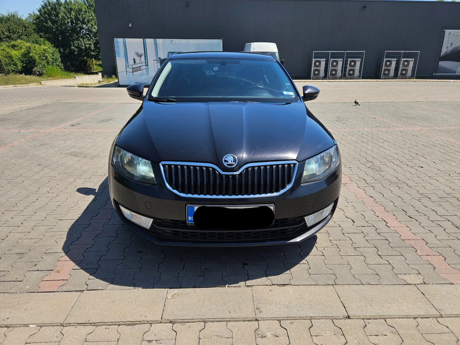 Skoda Octavia 1.6 TDI - изображение 2