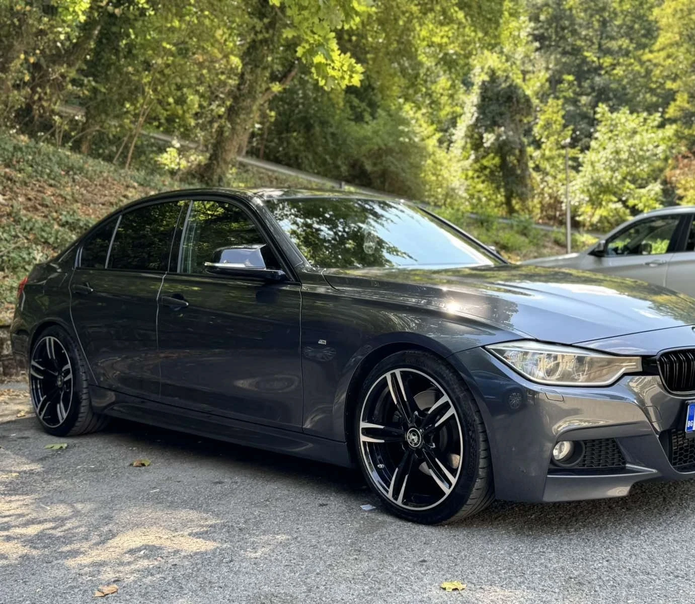 BMW 330 M Pack - изображение 6