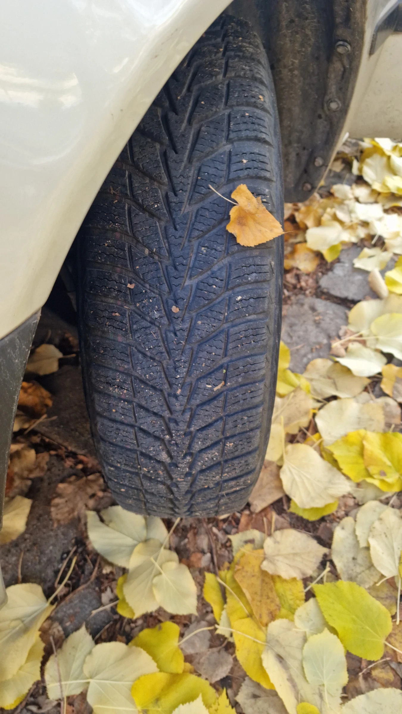 Toyota Corolla 1.4 vvti liftbac 4zz �11 | Mobile.bg � ����������� 16