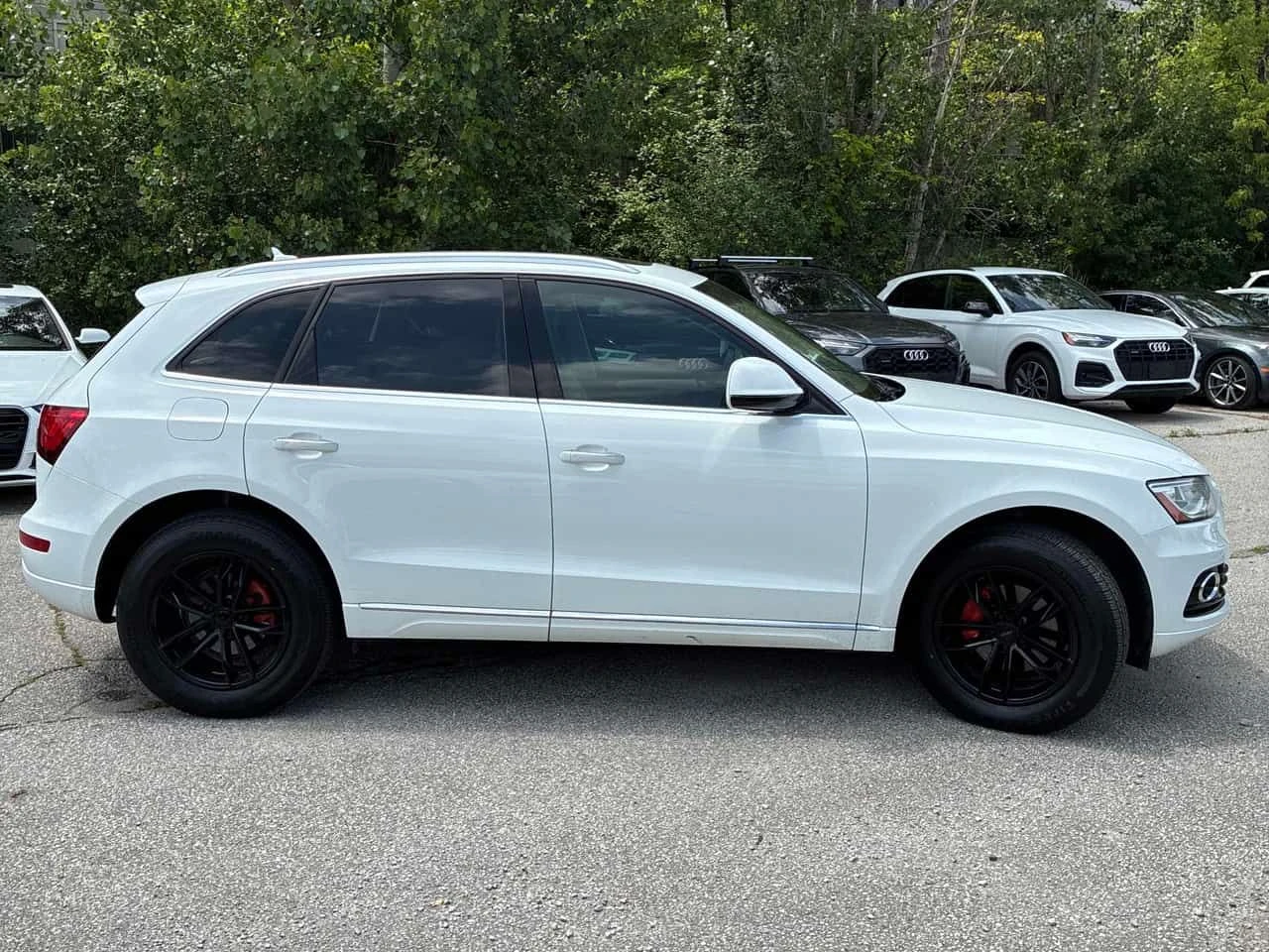 Audi Q5 | Progressiv | ПОДГРЕВ | CARFAX | + ГУМИ ДЖАНТИ | , снимка 3 - Автомобили и джипове - 55069952